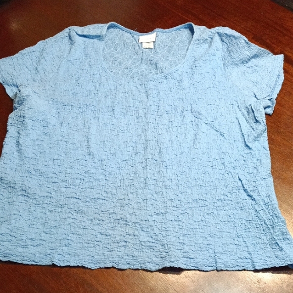 Jaclyn Smith Tops - Jaclyn Smith Sky Blue Textured Short Sleeve Tee